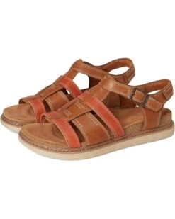 Clarks Arwell Sun | Sandals -The Shoe Daily 71WcRQhQ4dL. AC SR736920